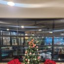 뚱보화로불고기 평거점 이미지