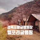 스펀지 포항점 | 포항 글램핑 추천 벚꽃캠핑 가능한 대형 레저타운 | 엘포리글램핑 후기 (레일썰매 필수!)