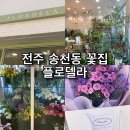 전주송천초등학교 | 전주 송천동 꽃집 :: 화사하고 다양한 꽃이 있는 플로델라 꽃집