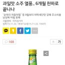 과일맛 소주 열풍.. 6개월 천하로 끝나나 이미지