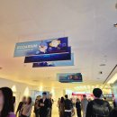 문화가 있는 날 <더해프닝쇼_마이 드림> | 비오는날 서울 갈만한곳 실내데이트 아이랑 롯데월드 아쿠아리움 할인 꿀팁