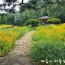 아방리낚시터 | 광명 3산 연계 산행 / 경기도 광명시