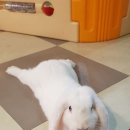 신괴정약국 이미지