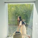 이아진 카카오 검색결과