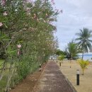 파라다이스골프장 | 마나도 골프투어 공항 부터 파라다이스 호텔 &amp; 골프장 캐슬투어 완벽 가이드