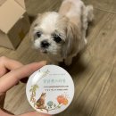 강남펫스타일 이미지