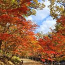 순창 강천산의 단풍🍁 이미지