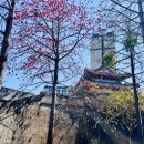 서호북문 이미지