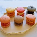 호랑호랑 이미지