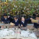 동영유치원 이미지