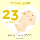 세븐일레븐방배중앙로점 | 임신 23주 - 주수사진 배크기, 증상 손부음 손저림, 임산부 간식 추천