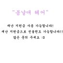 봄날애헤어 - 남구 남구 | 봄날애헤어