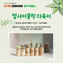 다육이 마을
