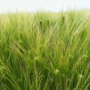 희망축산 이미지