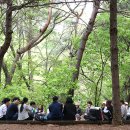 치유의 숲 이미지