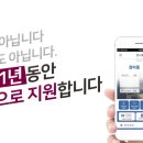 디디하이브