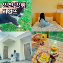 맑고 깨끗한 소리, 단소(1) | 강화도 테라스펜션 추천, 커플 오션뷰 감성숙소 리앙뜨 여행후기