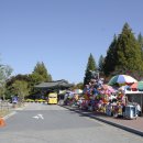 히딩크모텔 이미지