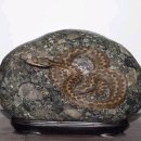 동해시-16 이미지