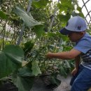 은준농장 네이버블로그