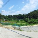 여주-0553 이미지