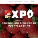 엑스포 이미지