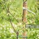 참솔에너지 이미지