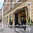 부킹 | 체코 호텔 그란디움 프라하 Grandium Hotel Prague 숙박 후기 &amp; 오버부킹 (feat.팜투어)