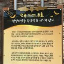 동해시-05 이미지