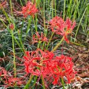 동신식자재마트 이미지