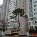 당정동 성원 이미지