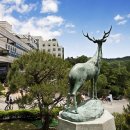 상명대학교