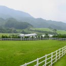 상림목장 이미지