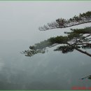 용화산자연휴양림 이미지