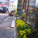 보담약국 이미지