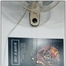 ♣ < 228호 > 선지와 내장이 일품인 일품양평해장국 (울진북면점) 오픈 탐방기 ♣