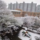 본우리집밥라온테크점 | 식비절약 온라인마켓 오아시스마켓 마켓컬리 프레딧 장보기 집밥 한끼 추천