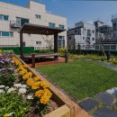 광진노인보호센터 이미지