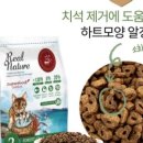 리얼네이처