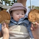 왕릉김밥 이미지