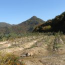 충주농장 이미지