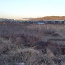 답내1리 이미지