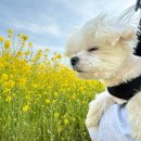 제남병원 화장실 | 4월 시작