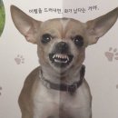 포레스트워크
