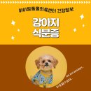 아이맘동물의료센터 이미지