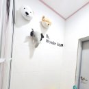 준이펜션 | 홍천키즈펜션 원더키즈풀빌라 야외놀이터까지 완벽!