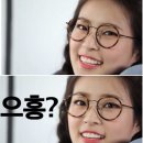 소나무안경 이미지