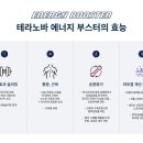 에너지부스터