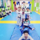 경희대 파란 태권도 체육관 이미지