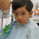 컷트하다